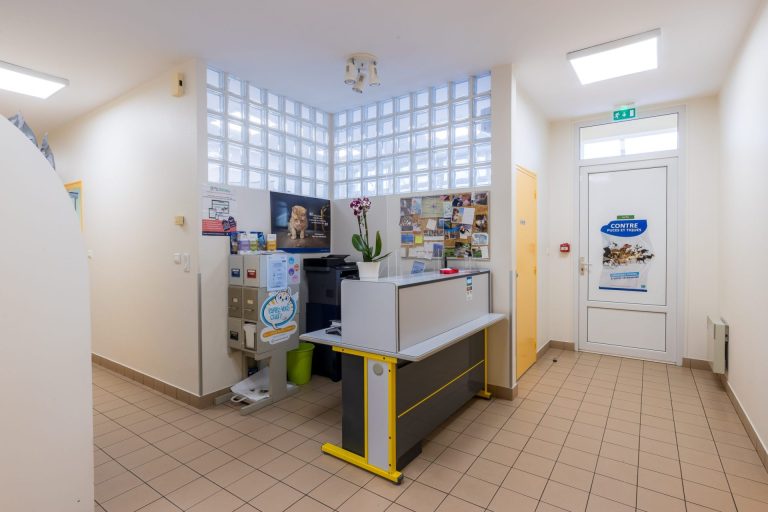 cliniqueveterinaireauxerre conches auxerre 8