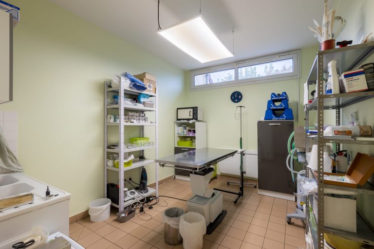 cliniqueveterinaireauxerre conches auxerre 9