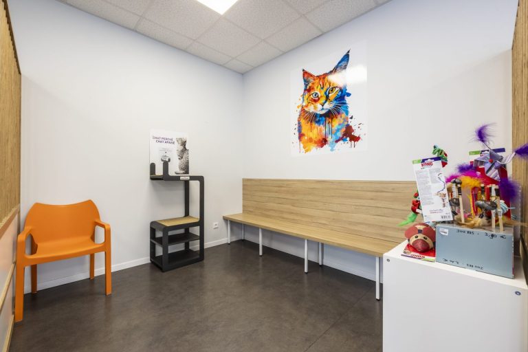 cliniqueveterinaired evreuxsaint louis evreux 4