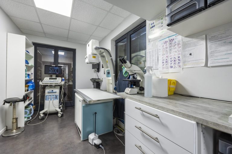 cliniqueveterinaired evreuxsaint louis evreux 8