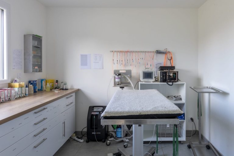 cliniqueveterinaired hornoylebourg hornoylebourg 10