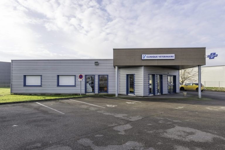 cliniqueveterinairedecaudebecleselbeuf caudebec les elbeuf 1