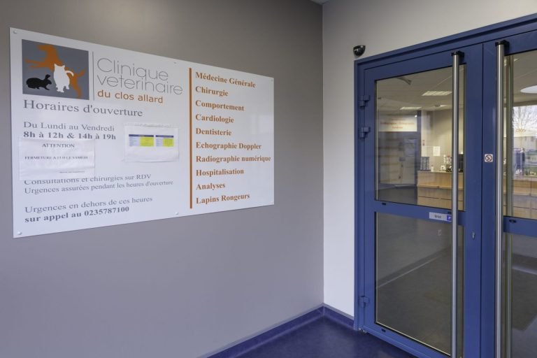 cliniqueveterinairedecaudebecleselbeuf caudebec les elbeuf 11