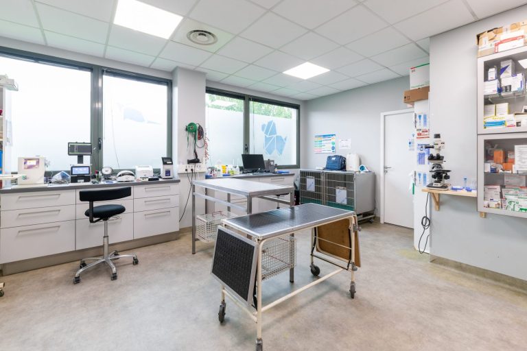 cliniqueveterinairedechaponnay chaponnay 10