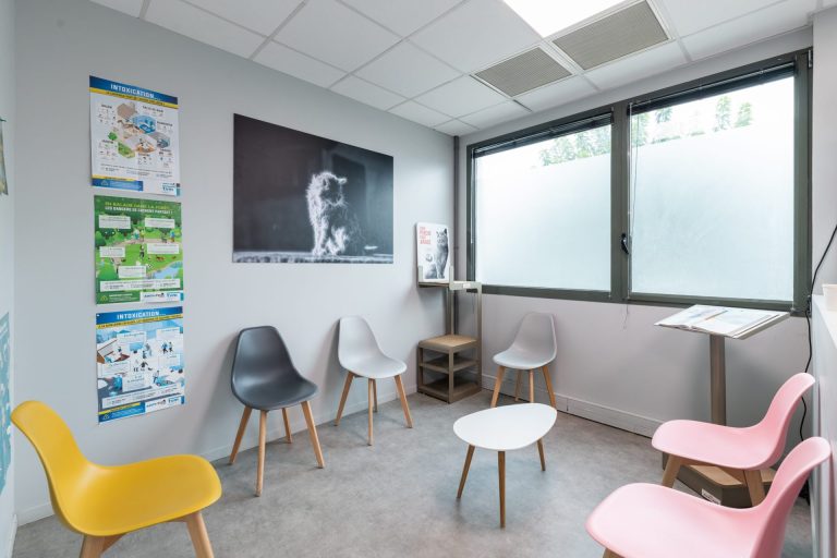 cliniqueveterinairedechaponnay chaponnay 4