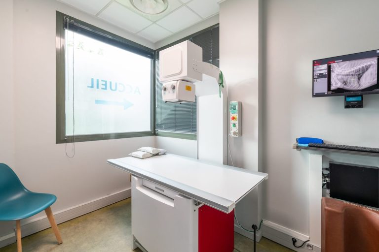 cliniqueveterinairedechaponnay chaponnay 7