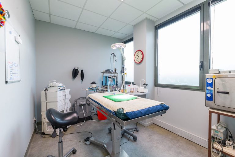 cliniqueveterinairedechaponnay chaponnay 8