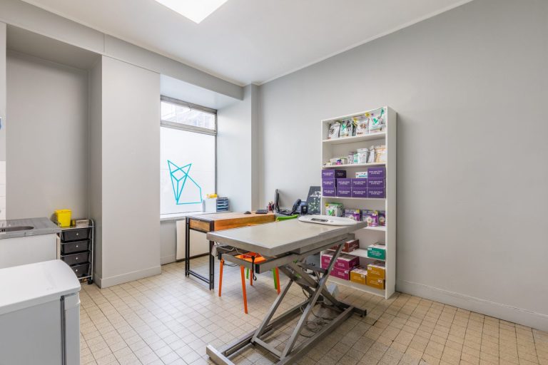 cliniqueveterinairedegennevilliers gennevilliers 3