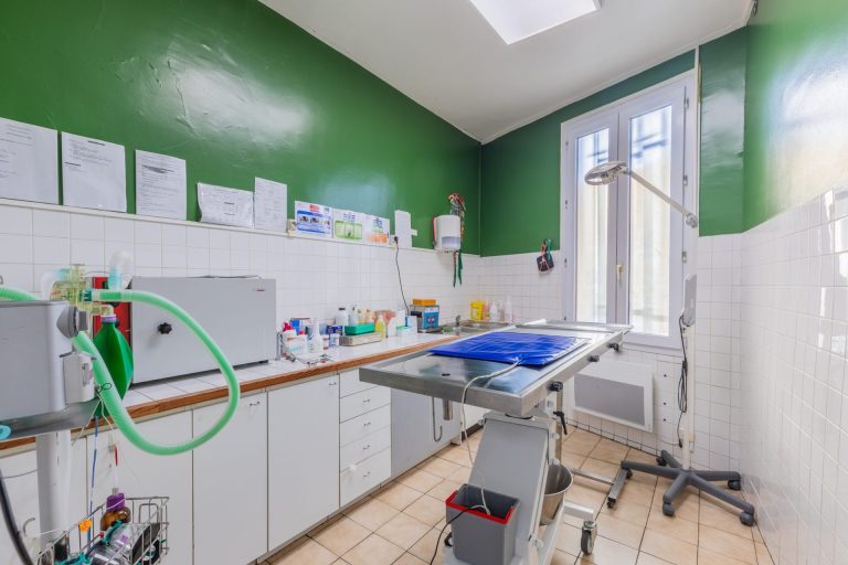 cliniqueveterinairedegennevilliers gennevilliers 4