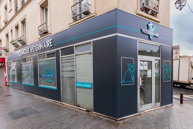 cliniqueveterinairedegennevilliers gennevilliers 7