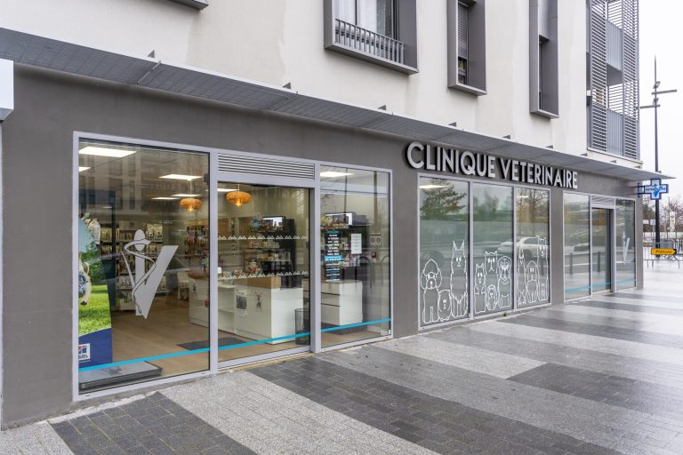 cliniqueveterinairedeguyancourt guyancourt 1