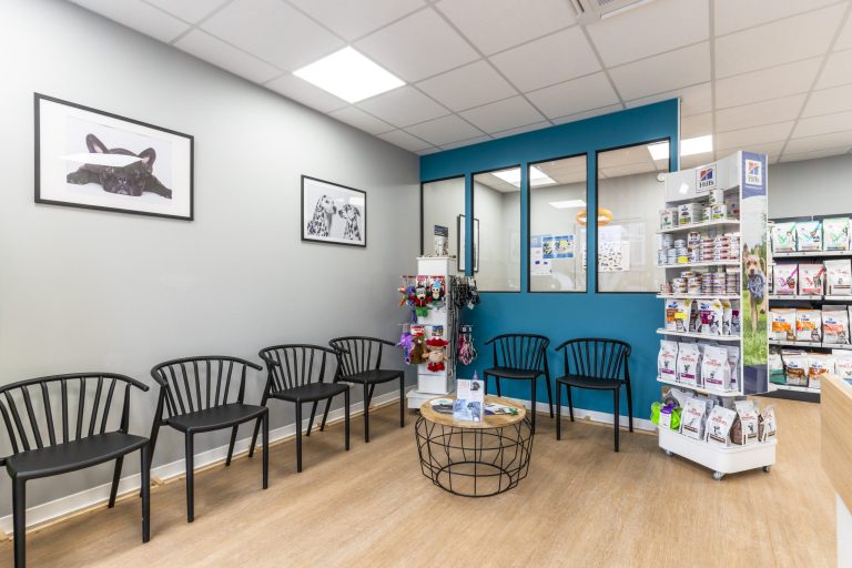 cliniqueveterinairedeguyancourt guyancourt 10