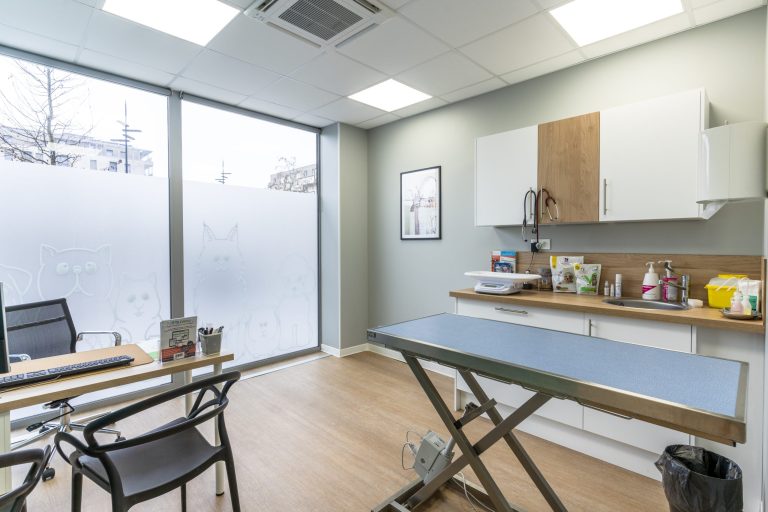 cliniqueveterinairedeguyancourt guyancourt 11