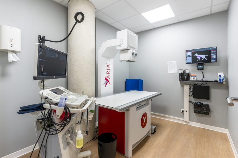 cliniqueveterinairedeguyancourt guyancourt 12