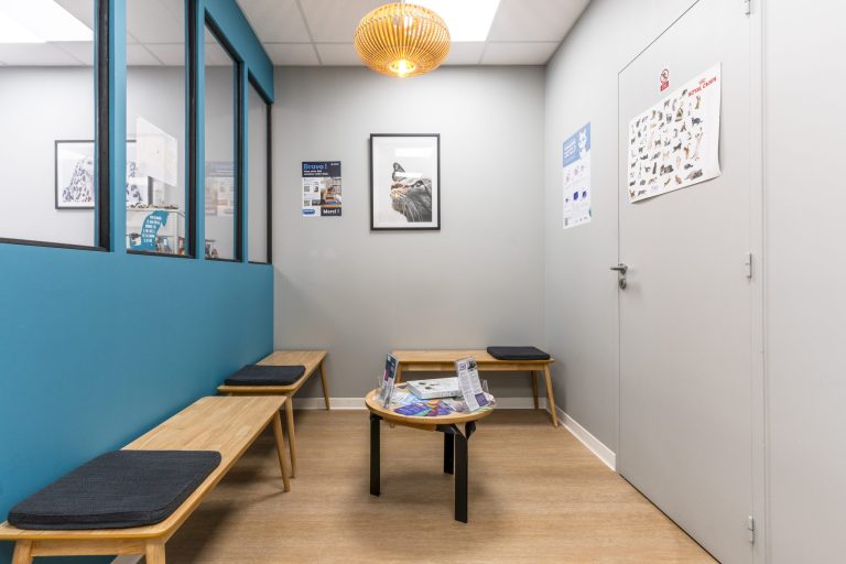cliniqueveterinairedeguyancourt guyancourt 5