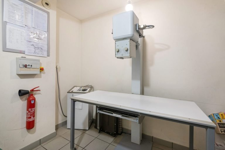 cliniqueveterinairedel etoile saintegenevievedesbois 5