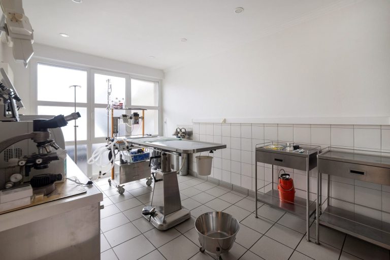 cliniqueveterinairedel etoile saintegenevievedesbois 6