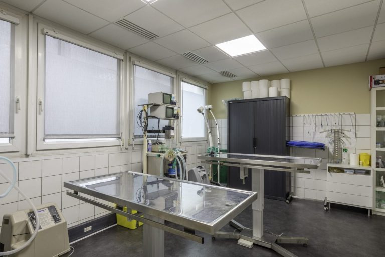 cliniqueveterinairedel europe rouen 18