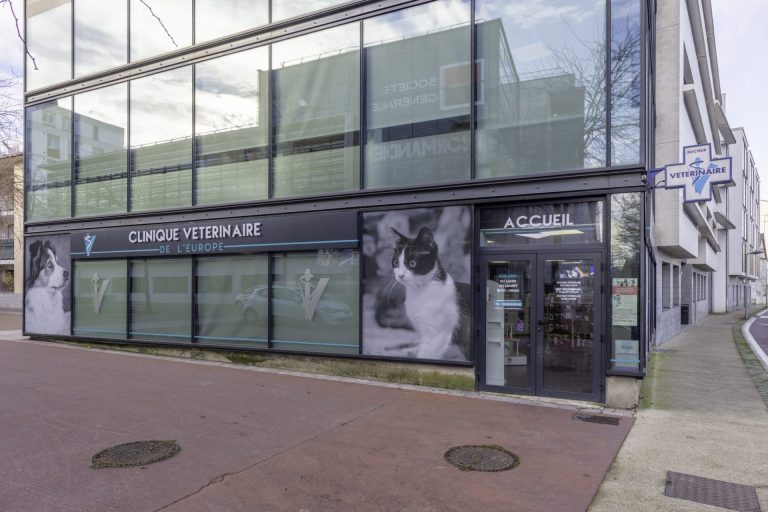 cliniqueveterinairedel europe rouen 4