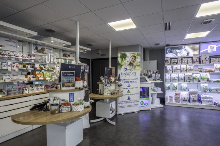 cliniqueveterinairedel europe rouen 8
