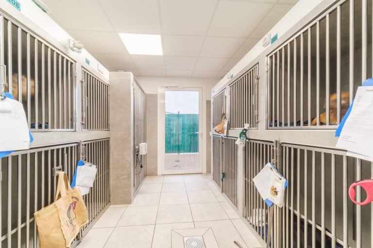 cliniqueveterinairedelamaie lure 16