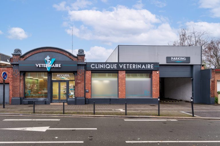 cliniqueveterinairedelarhonelle valenciennes 1