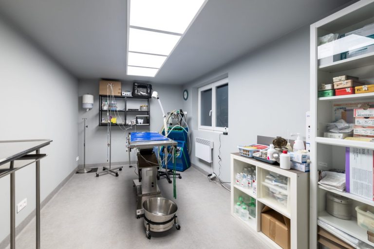 cliniqueveterinairedelarhonelle valenciennes 10