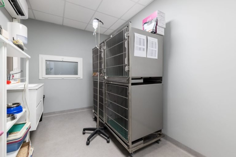 cliniqueveterinairedelarhonelle valenciennes 11