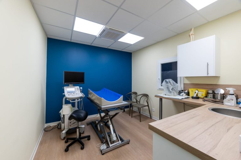 cliniqueveterinairedelarhonelle valenciennes 13