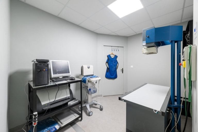 cliniqueveterinairedelarhonelle valenciennes 14