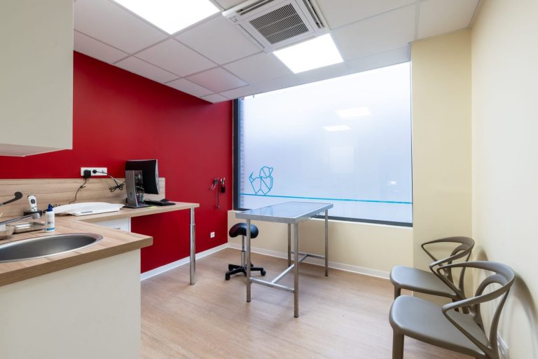 cliniqueveterinairedelarhonelle valenciennes 24