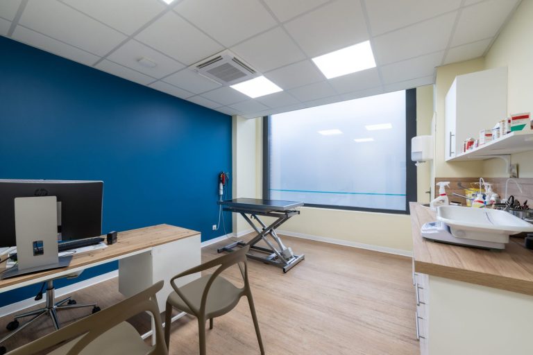 cliniqueveterinairedelarhonelle valenciennes 25