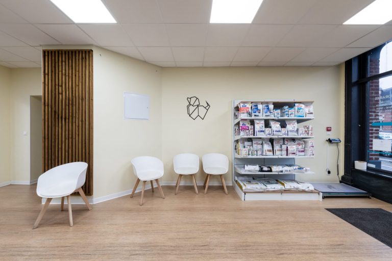 cliniqueveterinairedelarhonelle valenciennes 5
