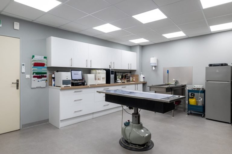 cliniqueveterinairedelarhonelle valenciennes 8