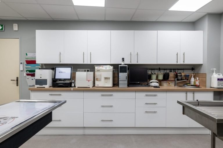 cliniqueveterinairedelarhonelle valenciennes 9