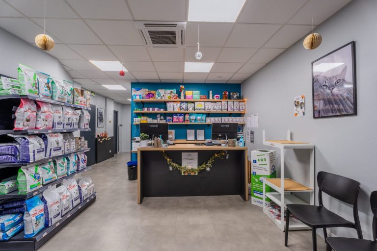 accueil clinique vétérinaire