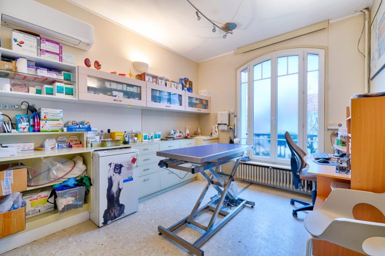 cliniqueveterinairedenogentsurmarne nogentsurmarne 10