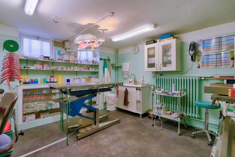 cliniqueveterinairedenogentsurmarne nogentsurmarne 6
