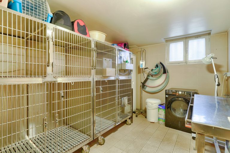 cliniqueveterinairedenogentsurmarne nogentsurmarne 8