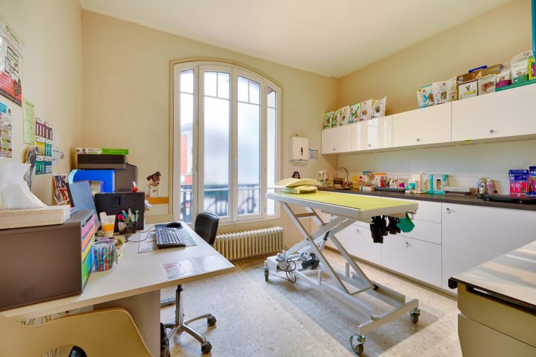 cliniqueveterinairedenogentsurmarne nogentsurmarne 9