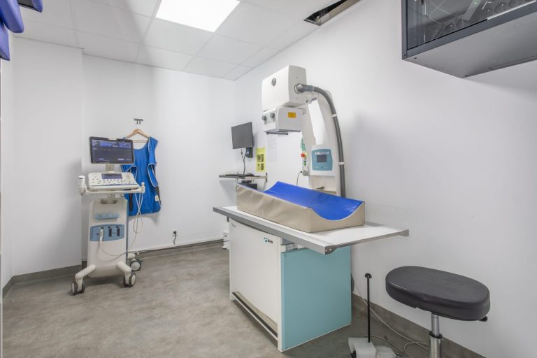 cliniqueveterinairedepelissanne pelissanne 11