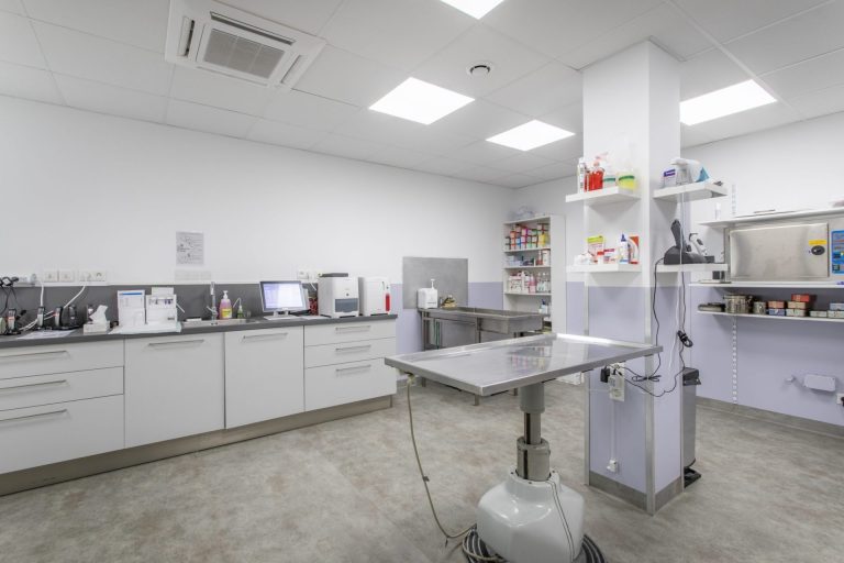 cliniqueveterinairedepelissanne pelissanne 12