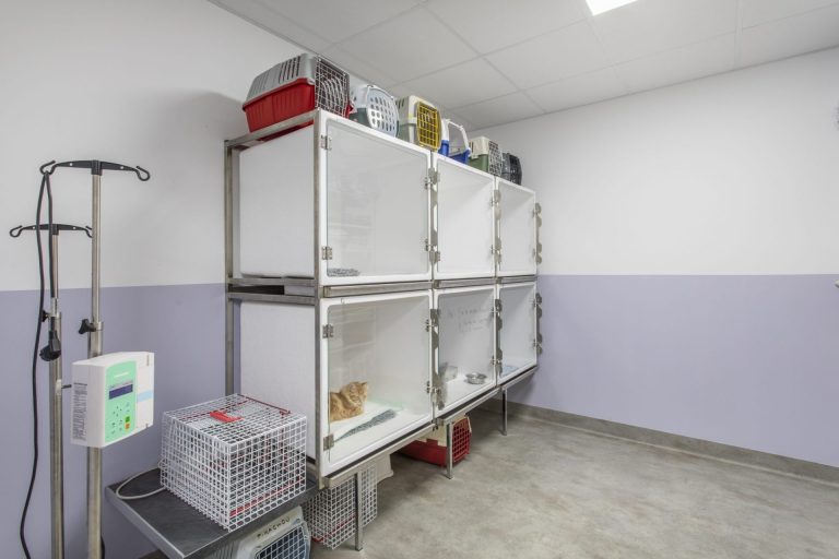 cliniqueveterinairedepelissanne pelissanne 13