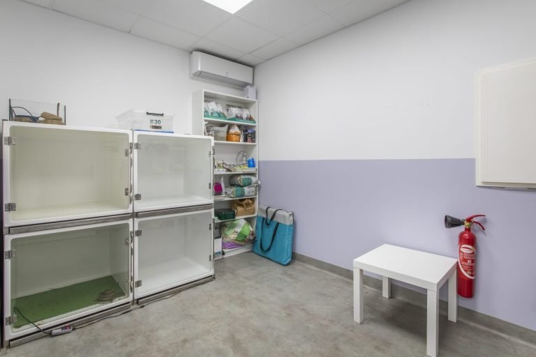 cliniqueveterinairedepelissanne pelissanne 14