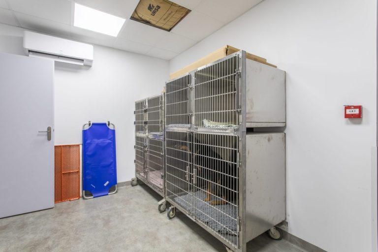 cliniqueveterinairedepelissanne pelissanne 15