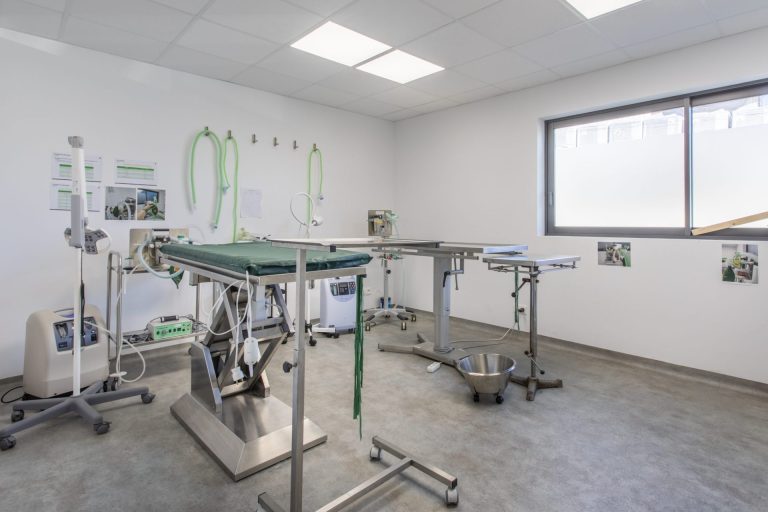 cliniqueveterinairedepelissanne pelissanne 16