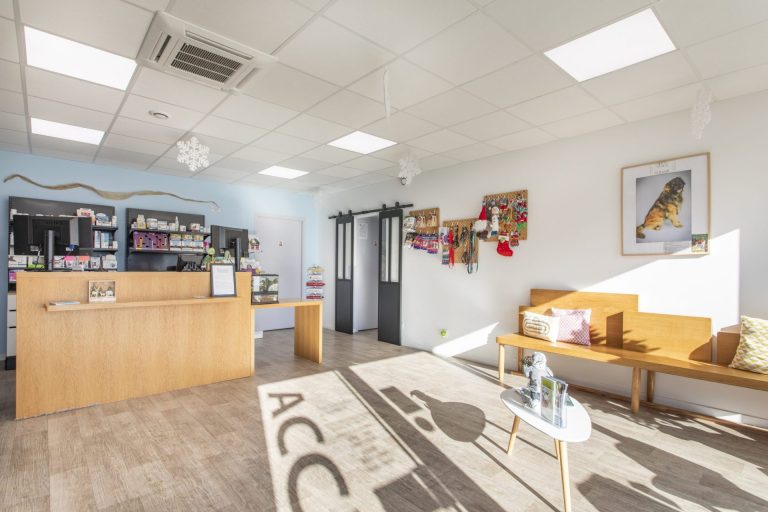 cliniqueveterinairedepelissanne pelissanne 18