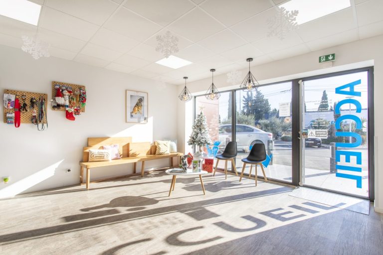 cliniqueveterinairedepelissanne pelissanne 19