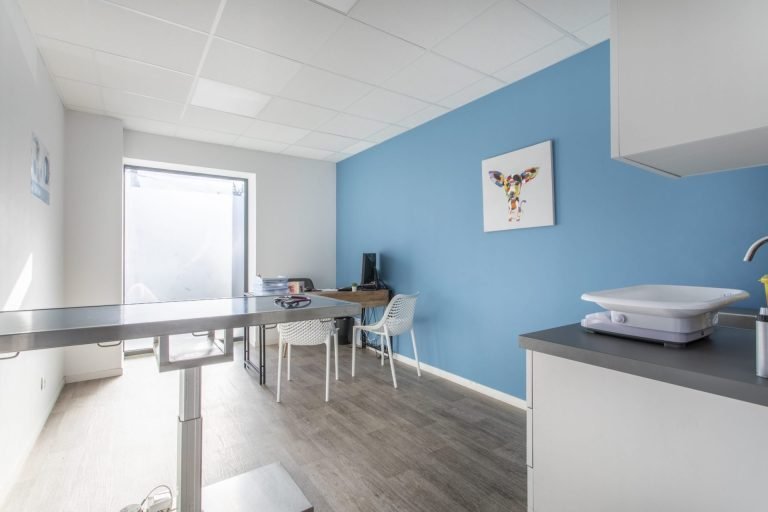 cliniqueveterinairedepelissanne pelissanne 9