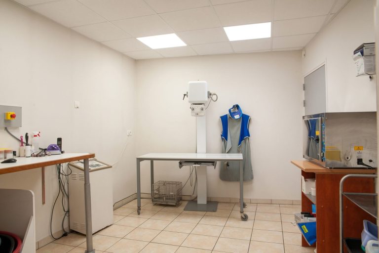 cliniqueveterinairedesbordsdel oise verberie 16